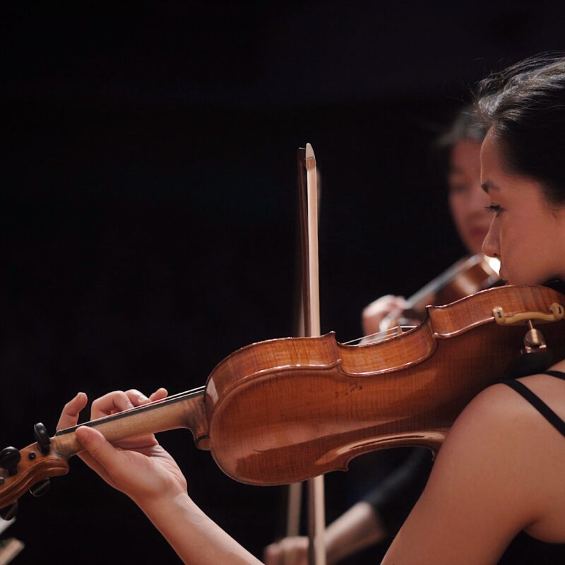 Orchestra Camerata Fiestravaganza | Berlin’s Premier Chamber Ensemble