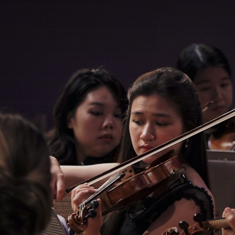 Orchestra Camerata Fiestravaganza | Berlin’s Premier Chamber Ensemble