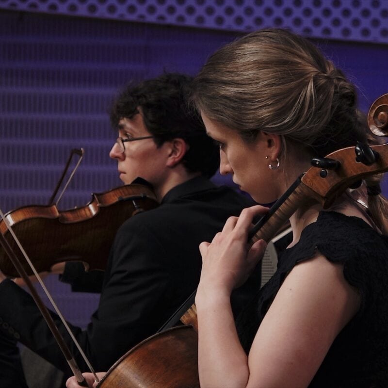 Orchestra Camerata Fiestravaganza | Berlin’s Premier Chamber Ensemble