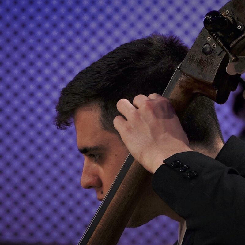 Orchestra Camerata Fiestravaganza | Berlin’s Premier Chamber Ensemble