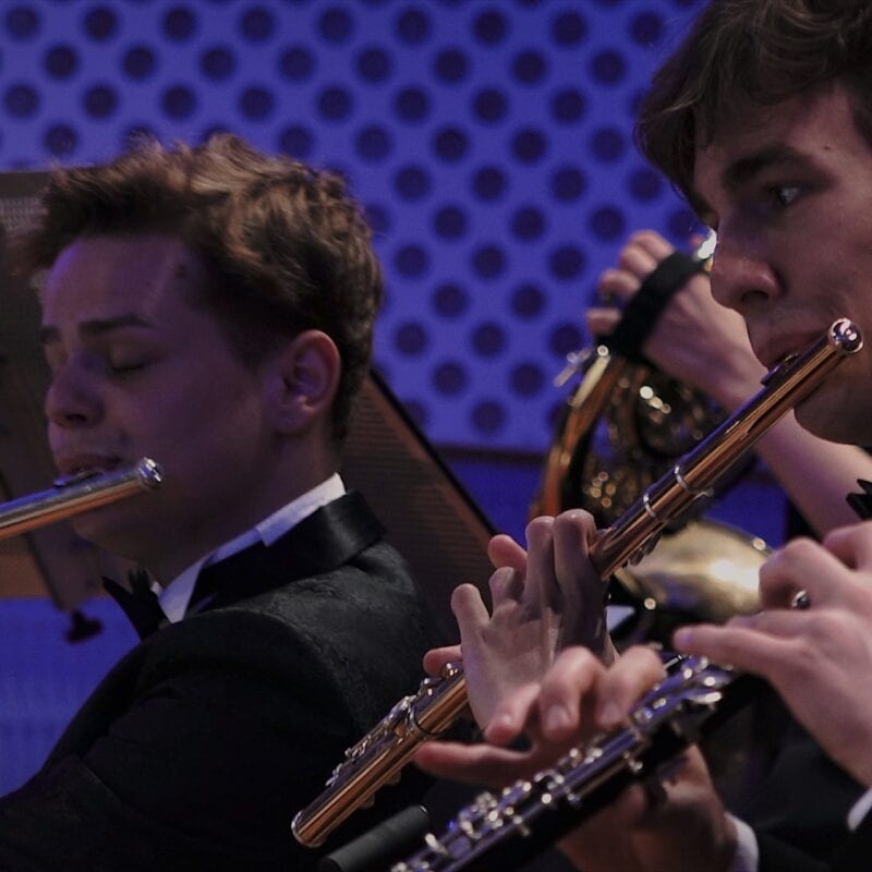 Orchestra Camerata Fiestravaganza | Berlin’s Premier Chamber Ensemble