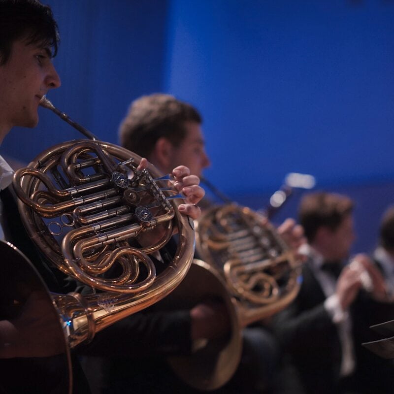 Orchestra Camerata Fiestravaganza | Berlin’s Premier Chamber Ensemble